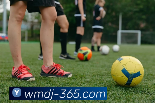 完美电竞365APP 封面图